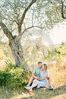 Guy and girl are sitting hugging on the grass under a tree with their noses touching