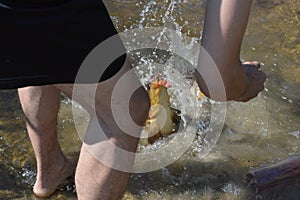 Guy has caught a carp