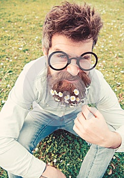 Guy looks nicely with daisy or chamomile flowers in beard. Springtime concept. Man with long beard and mustache