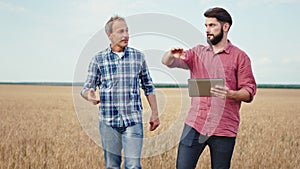 Guy with a new gadget electronic tablet and his father farmer walking through the wheat field they analyzing the new