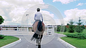 A guy rides on a horse to the arena