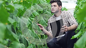 Guy sitting between the green rows with clipboard