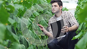 Guy sitting between the green rows with clipboard