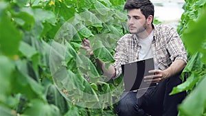 Guy sitting between the green rows with a clipboard inspect leaves