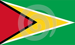 Guyana flag vector.Illustration of Guyana flag