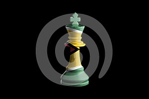 Guyana flags paint over on chess king. 3D illustration photo