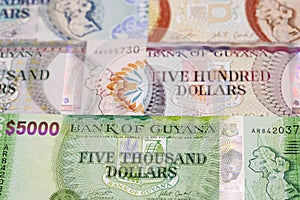 Guyanese dollar a business background