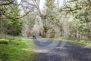 Guys on bicycles and a pedestrian with dogs walking along a forest path