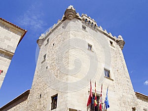 Guzmanes tower in Avila photo
