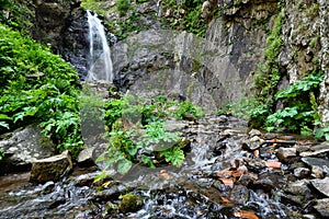 Gveleti Small Waterfalls in Giorgia