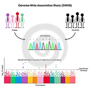 GWAS Genome-Wide Association Study