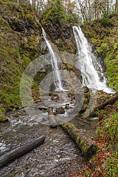 Gwydyr Forest Waterfall