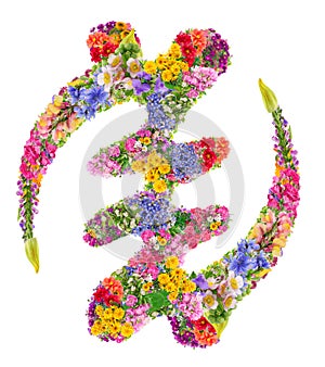 Gye Nyame -Akan religion symbol from flowers isolated photo