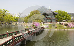 At Gyeongbok palace, Seoul.