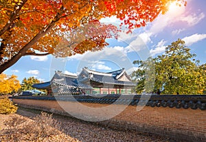 Gyeongbokgung Palace in autumn with maple leaves in the foreground, South Korea