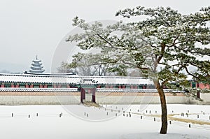 Gyeongbokgung Palace have snowy in winter season