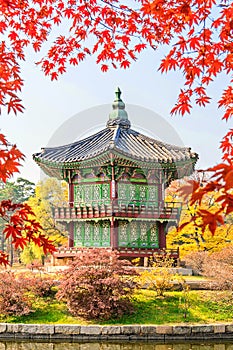 Gyeongbukgung and Maple tree in autumn in korea