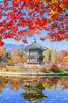 Gyeongbukgung and Maple tree in autumn in korea