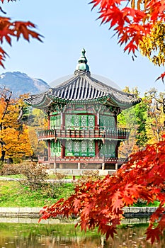 Gyeongbukgung and Maple tree in autumn in korea