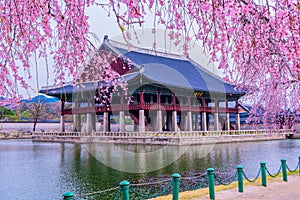 Gyeongbukgung Palace in South Korea.