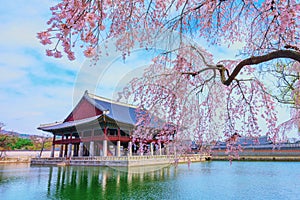 Gyeongbukgung Palace in South Korea.