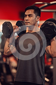 Gym, man and dumbbell for shoulder press, fitness and strength for training. Weights, chest and exercise for arm workout