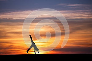 Gymnast doing cartwheel in sunset