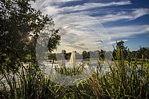 Gympie Ã¢â¬â Lake Alford Recreation Park photo