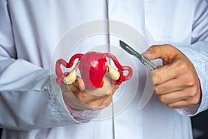 Gynecological surgery for women concept photo. Gynecologist surgeon holds model of uterus with ovaries in his hand and scalpel in photo