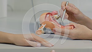 Gynecologist doctor consulting patient using uterus anatomy model photo