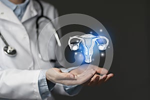 Gynecologist doctor, gynecology specialist. Aesthetic handdrawn highlighted illustration of human uterus. Dark grey background, photo