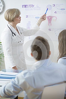 Gynecologist explaining in vitro process photo