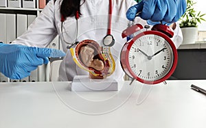 Gynecologist fetus child clock alarm clock in clinic female age and fertility