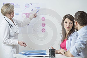 Gynecologist using in vitro scheme