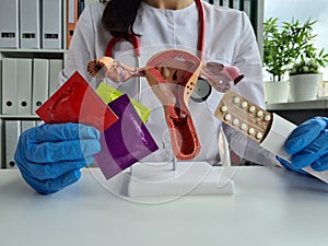 Gynecologist with various contraceptives and uterus closeup photo
