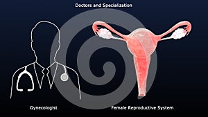 Gynecologists - Doctor and Specialization of Reproductive and sexual health services