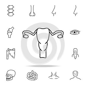 Gynecology icon uterus. Detailed set of human body part icons. Premium quality graphic design. One of the collection icons for web
