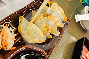 Gyoza asian vegeterian potstickers with soy sauce