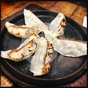 Gyoza dumplings