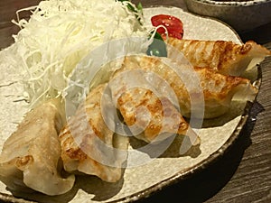 Gyoza Dumplings Dish