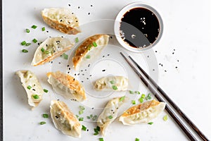 Gyoza fried chinese dumplings