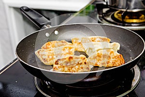 Gyoza in frying pan