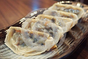Gyoza Japanese Fried Dumplings arrange on the long plate SELECTIVE FOCUS