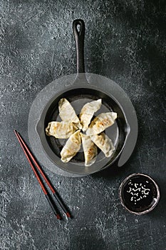 Gyozas potstickers asian dumplings