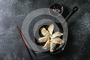 Gyozas potstickers asian dumplings