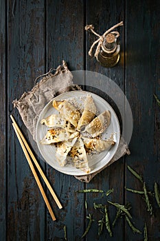 Gyozas potstickers asian dumplings