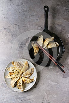 Gyozas potstickers asian dumplings