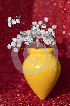 Gypsophila flowers in a yellow vase on a red background. photo