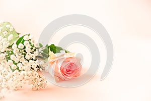 GYPSOPHILA AND ROSE FLOWER ON THE CORNER OF THE PINK BACKGROUND