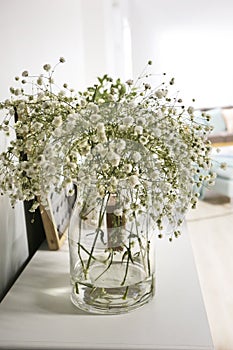 Gypsophila vase in white living room